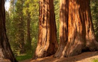 Sequoia Economic Infrastructure-SEQI