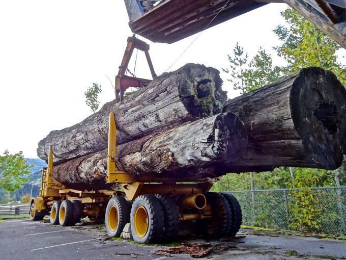Phaunos Timber rejects Stafford's Offer 1