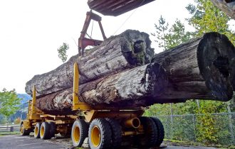 Phaunos receives cash offer from Stafford Capital Partners 1