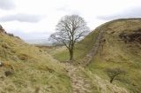 Hadrian's Wall standing firm Hadrian's Wall Secured Investments HWSL