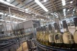 Tritax Big Box toasts £90m acquisition of Europe's largest wine production warehouse
