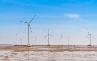 picture of a wind farm on what looks like mudflats