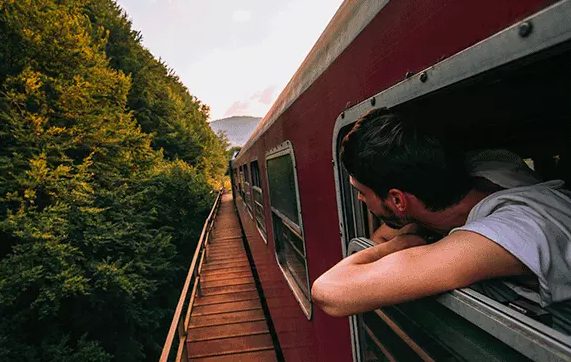 a man leaning out of a red train window as it runs alongside a hedge