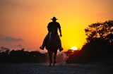 a silhouetted cowboy at sunset