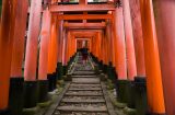 a man climbing wooden stairs at the fushimi inari temple in Japan, surrounded by red torii gates