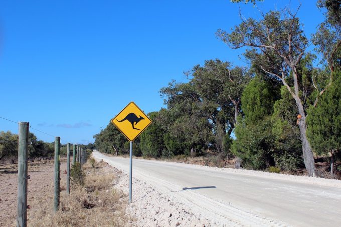 a road in australia with a warning sign for kangaroos