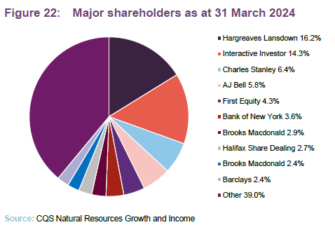 Major shareholders as at 31 March 2024