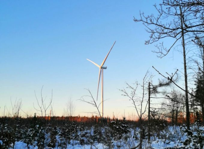 View of a turbine amongst some low trees