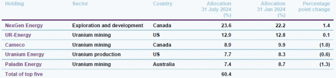 top five holdings as at 31 july 2024