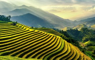 view of rice paddies terraced on side of a valley