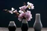 three vases, lined up in ascending size, the middle one has cherry blossoms in it, the other two are empty