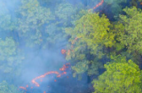 Impax Environmental Markets