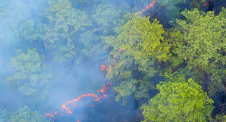 Impax Environmental Markets