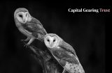 two owls on a black background