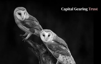 two owls on a black background