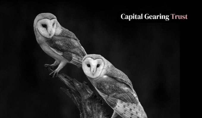two owls on a black background