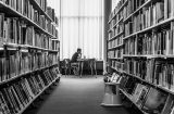 a student studies in a library - view through two rows of books of a student at a desk