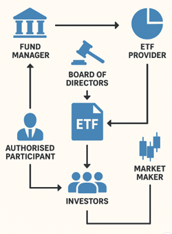 infographic of an ETF stakeholder structure