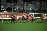 horse racing at the Hong Kong Jockey Club