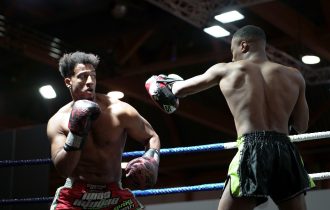 two boxers in a ring