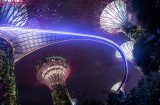 singapore at night looking up at the artificial forest