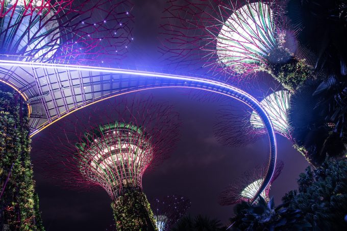 singapore at night looking up at the artificial forest