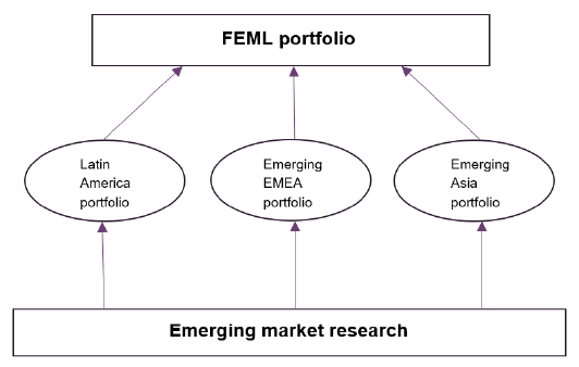 Figure 1: FEML’s research and investment process