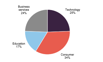 Sector split of private equity funds and direct investment portfolio at 30 June 2025