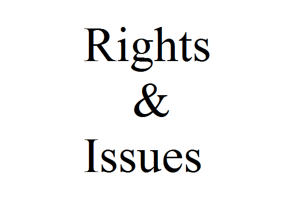 Rights & Issues Investment Trust Logo