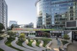 a view across the central area of paddngton central office complex, Sinuous steps picked out in wood with grass behind them step down to a curve of shops