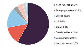 MNKS geographic asset allocation as at 31 May 2025