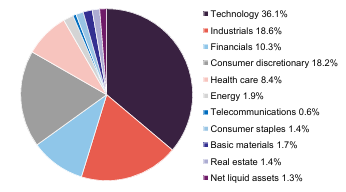 MNKS sectoral allocation as at 31 May 2025