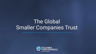 the global smaller companies trust