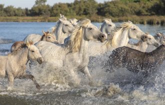BlackRock American Income Trust - Gathering momentum?