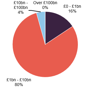 Figure 10: MRC split by market cap at 31 December 2025