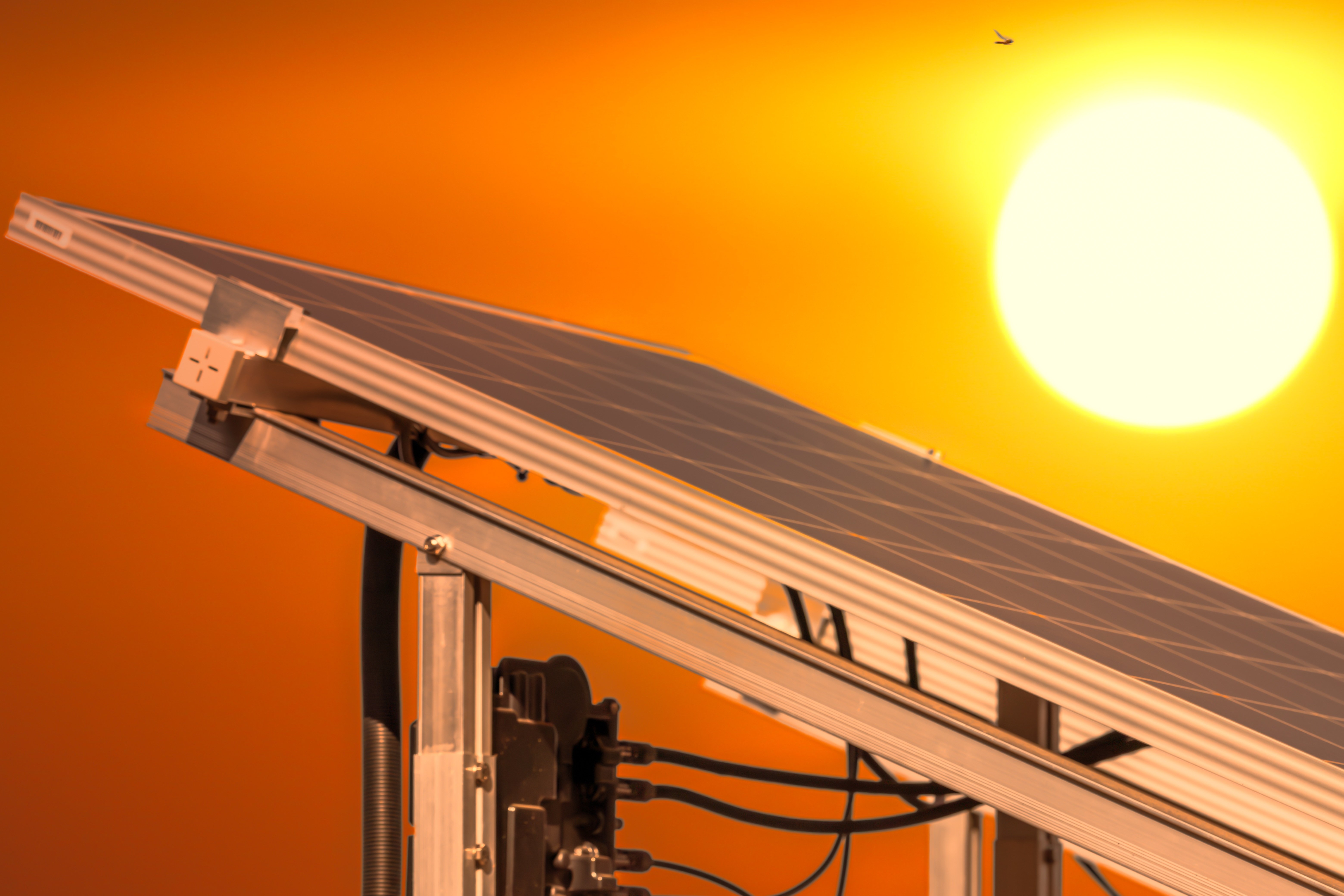 Octopus Renewables buys Barnsdale Solar Park as its latest growth ...