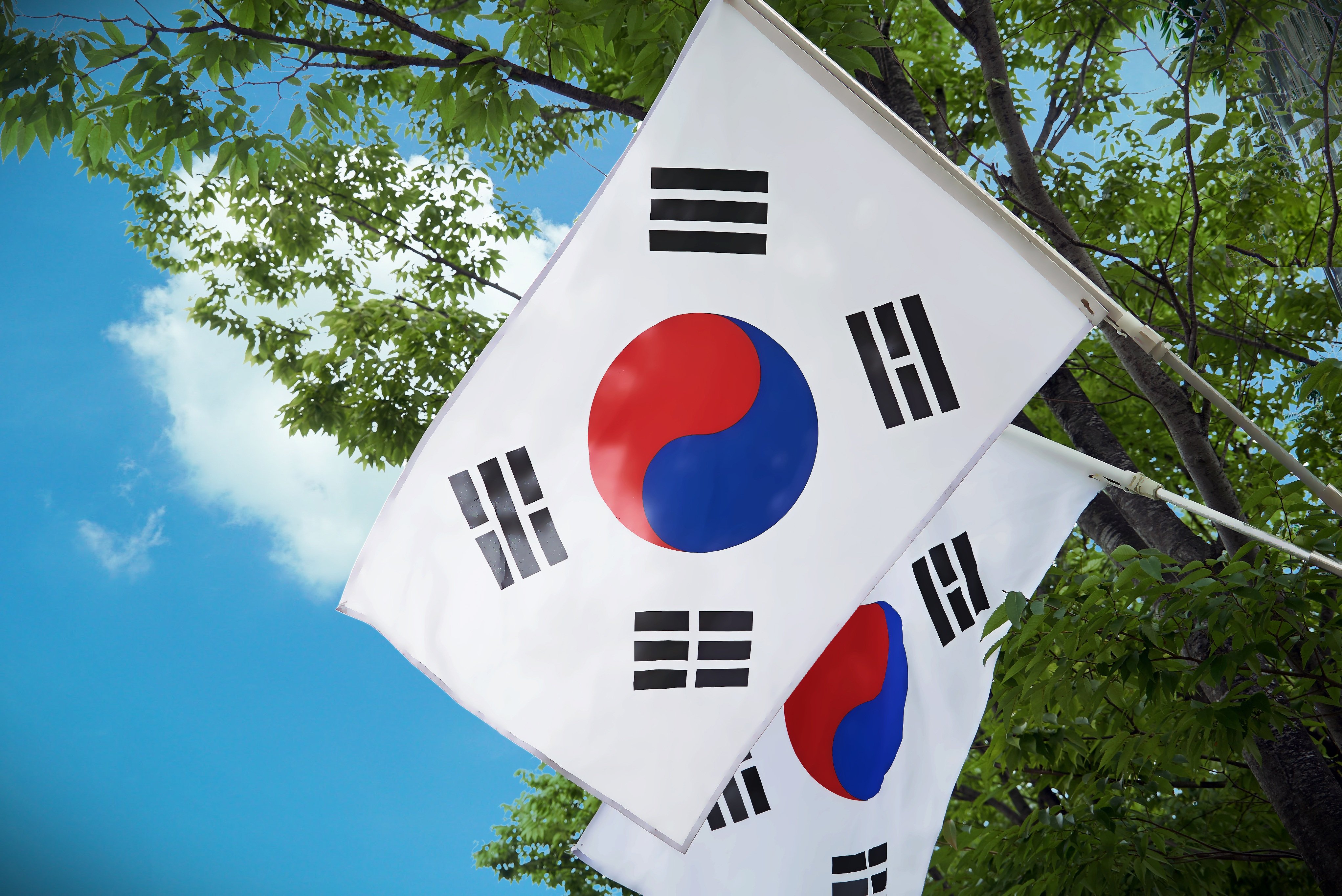Korean tech rally prompts Vanguard to change $3.2bn Asia ETF benchmark